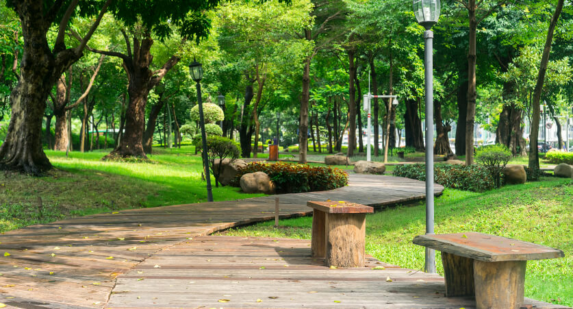 Mercado Clubes y Parques